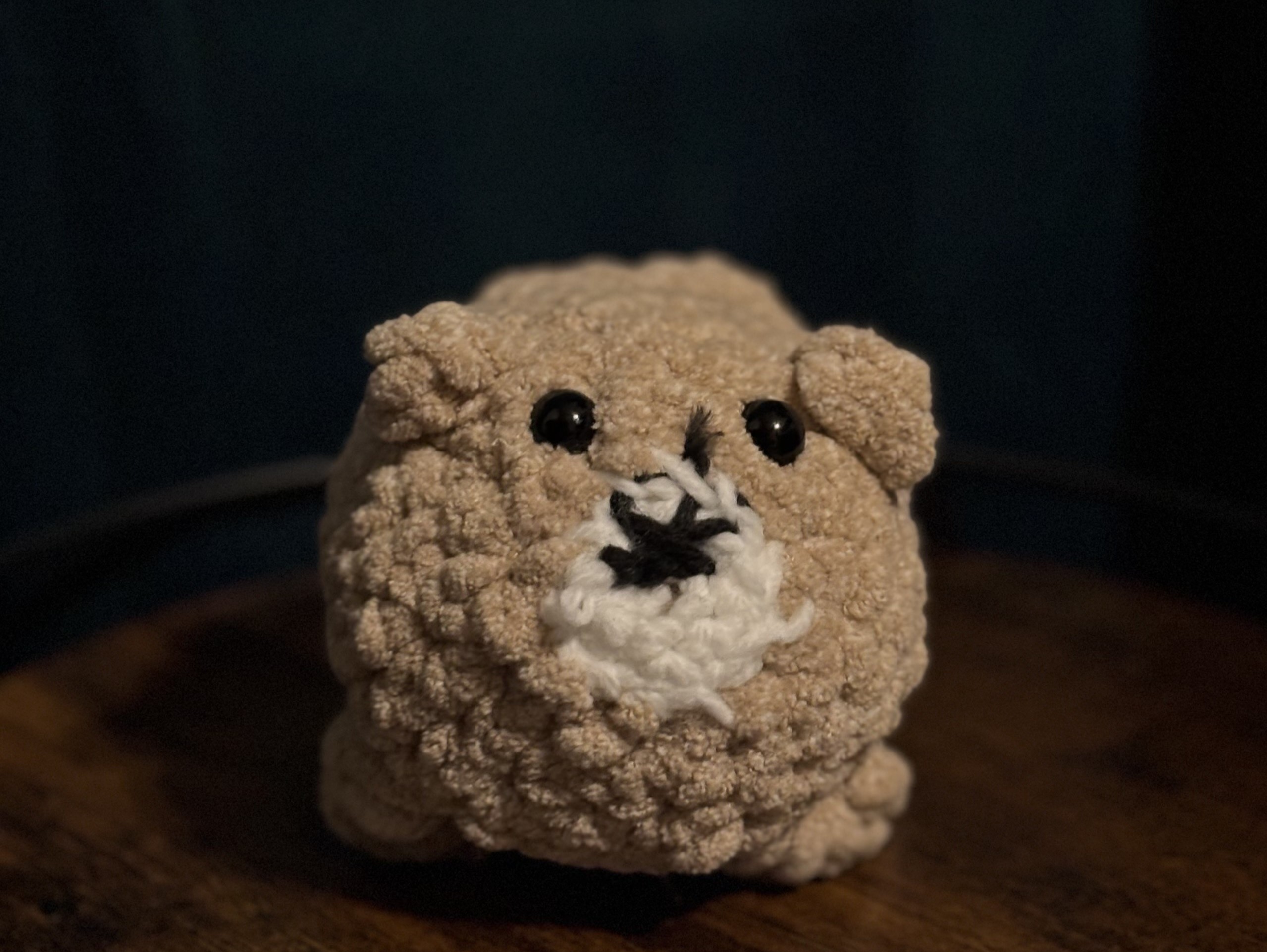 Crocheted Bear Plushie